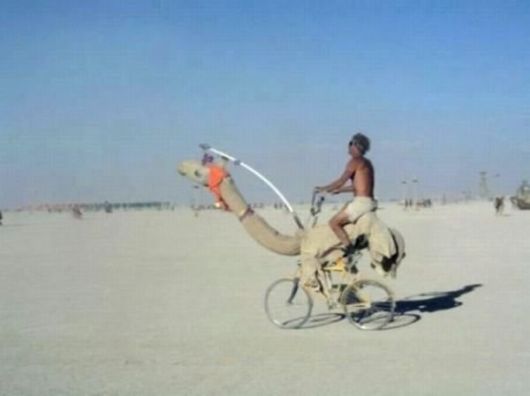 Funny and Bizarre Bicycles