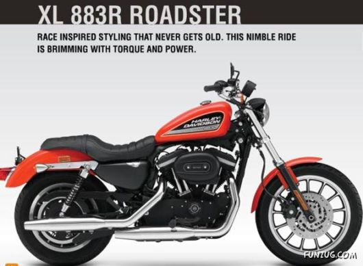 Drool On Harley Davidson in India