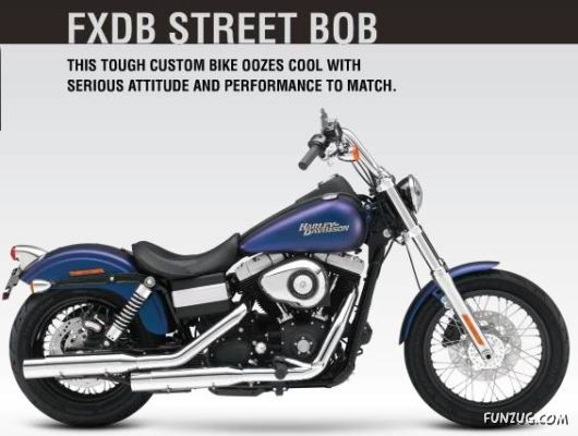 Drool On Harley Davidson in India