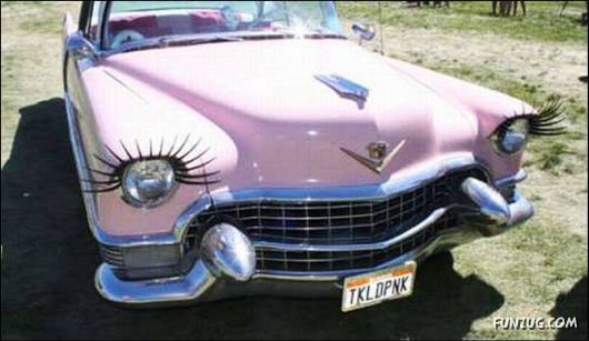 Funny Cars of the World