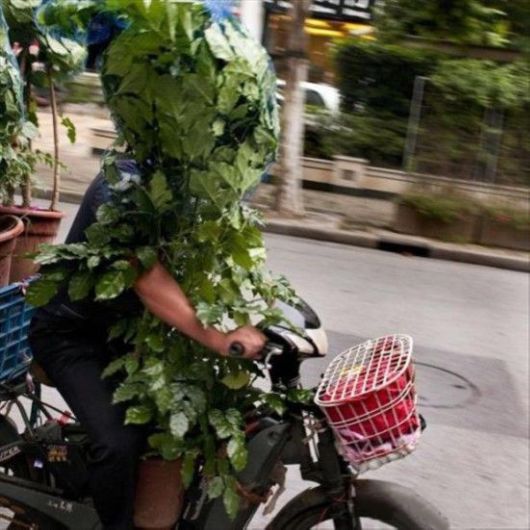 Common Sense Is Not So Common Anymore