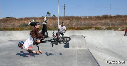 Really Crazy Pictures of The Day