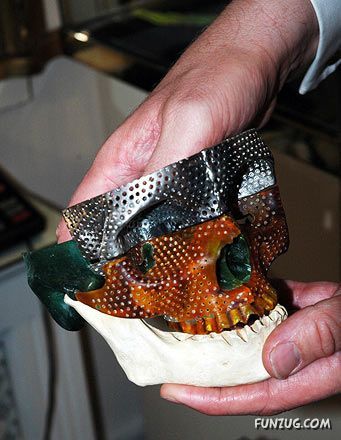 Amazing Diamond Skull