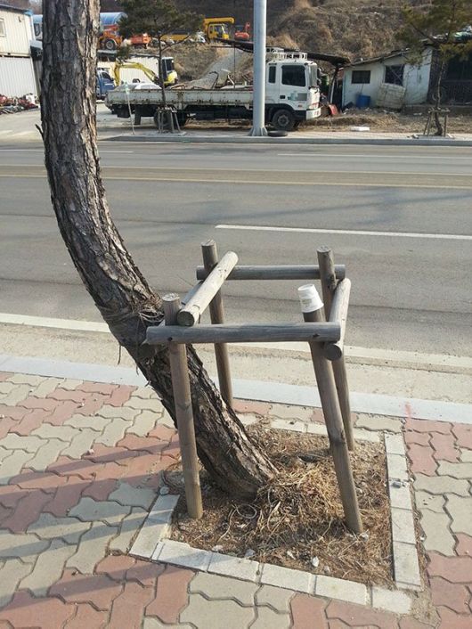 Revolutionists Who Aren't Afraid To Break The Rules