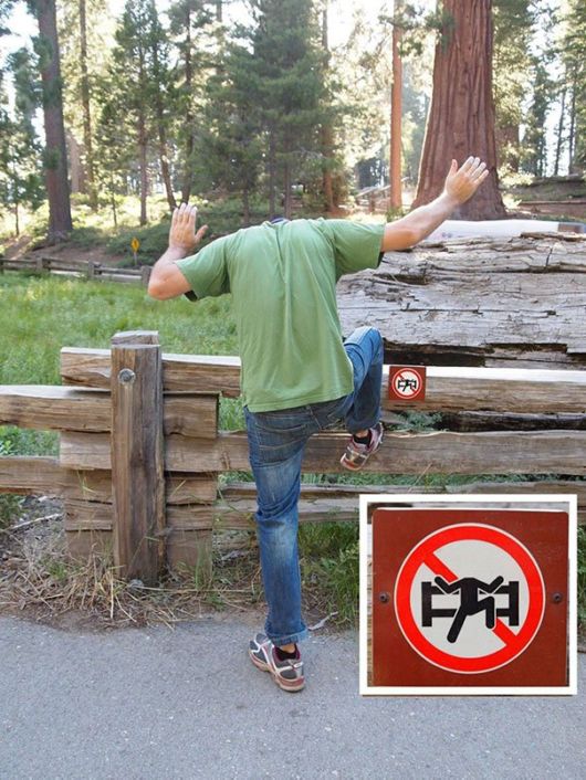 Revolutionists Who Aren't Afraid To Break The Rules