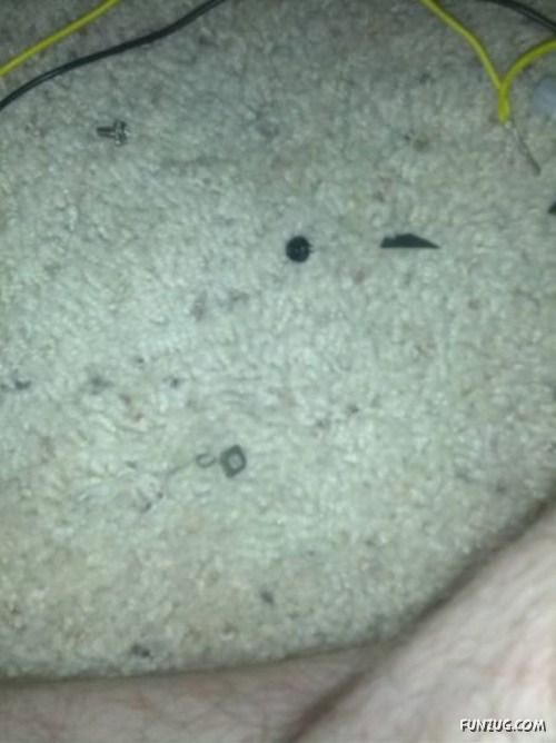 Why You Shouldnt Ignore Your Girlfriend