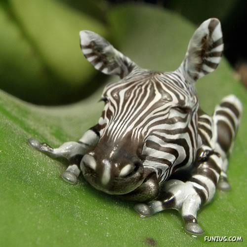 'Brilliant Examples of Photo Manipulation