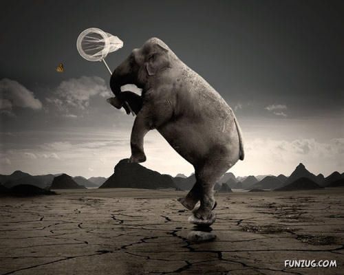 'Brilliant Examples of Photo Manipulation