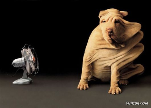 Brilliant Examples of Photo Manipulation