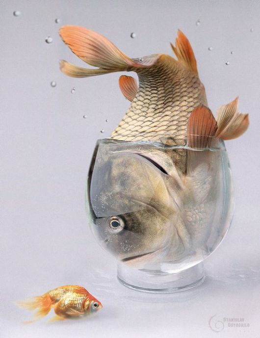 Brilliant Examples of Photo Manipulation