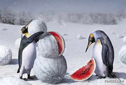 Strange Photoshop Manipulations