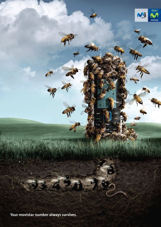 Most Innovative and Thought Provoking Advertising