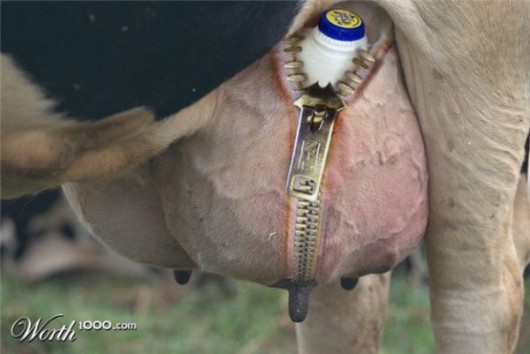 Zip it Carefully (Photoshop Work)