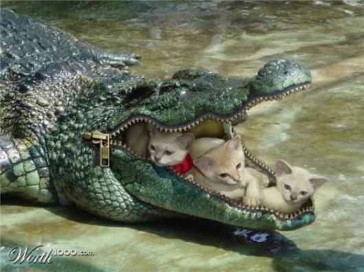 Zip it Carefully (Photoshop Work)