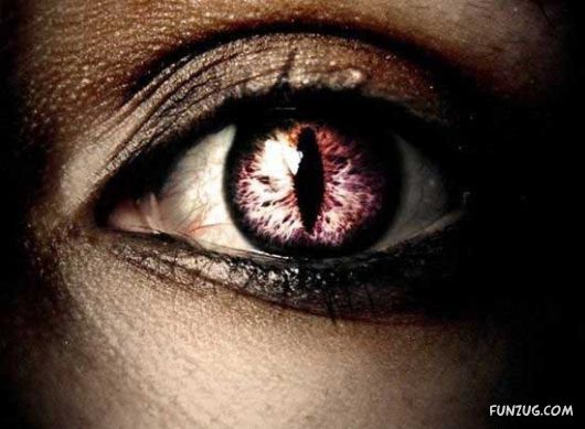 Stylish Fashionable Eye Lenses