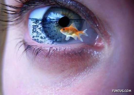 Stylish Fashionable Eye Lenses