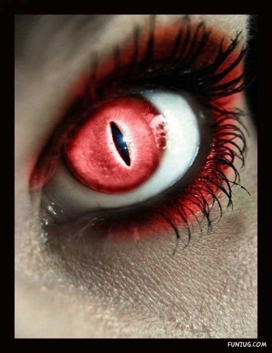 Stylish Fashionable Eye Lenses