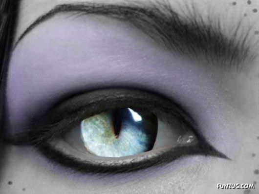 Stylish Fashionable Eye Lenses