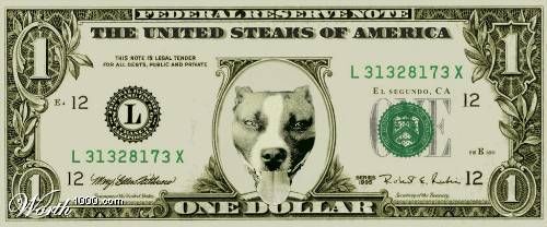 What if Dogs Rule The World ?