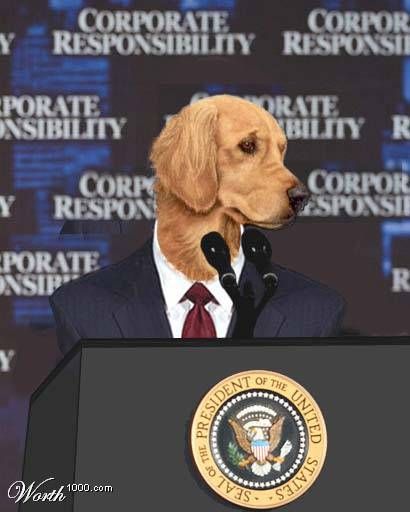 What if Dogs Rule The World ?