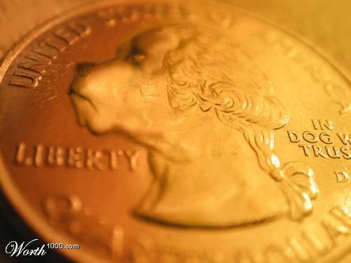 What if Dogs Rule The World ?