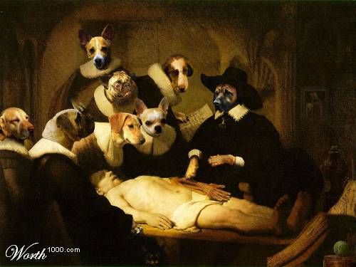 What if Dogs Rule The World ?