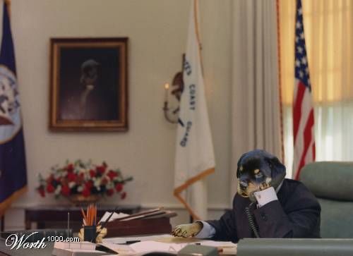 What if Dogs Rule The World ?