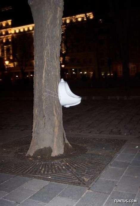 Amazing Toilets Worth Seeing