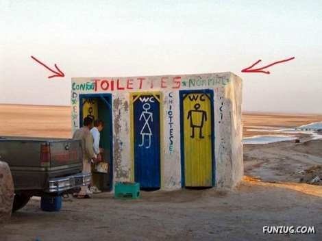 Amazing Toilets Worth Seeing