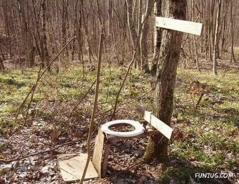 Amazing Toilets Worth Seeing