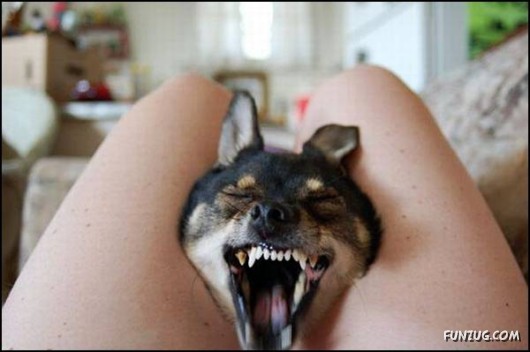 Just to make you SMILE