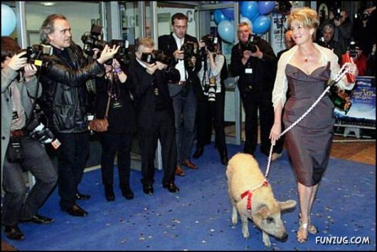 Just to make you SMILE