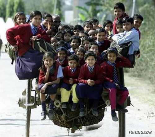 Skillful Masters of Transportation