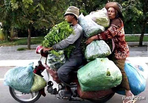 Skillful Masters of Transportation