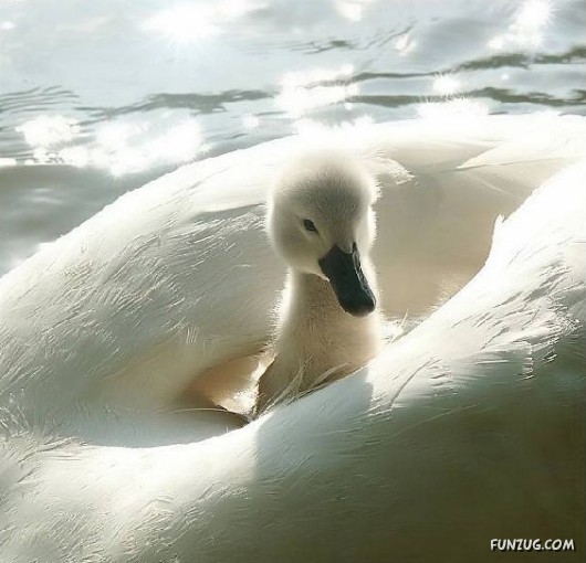 A Bunch of Nice Pictures
