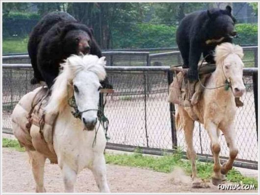 It Happens Only in Russia