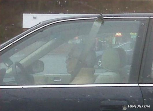 Any Problem ? We Can Fix It!