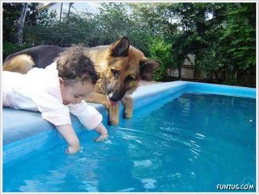 Cool Daily Funny Pix