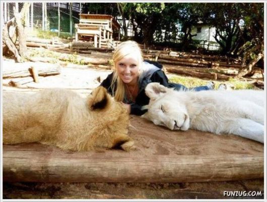 Cool Daily Funny Pix