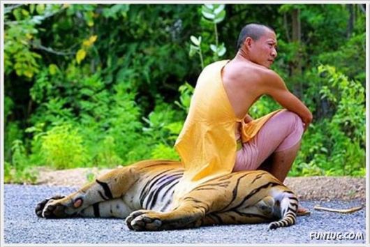 Cool Daily Funny Pix