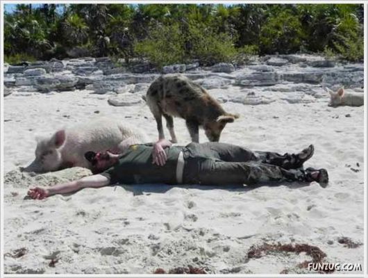 Cool Daily Funny Pix