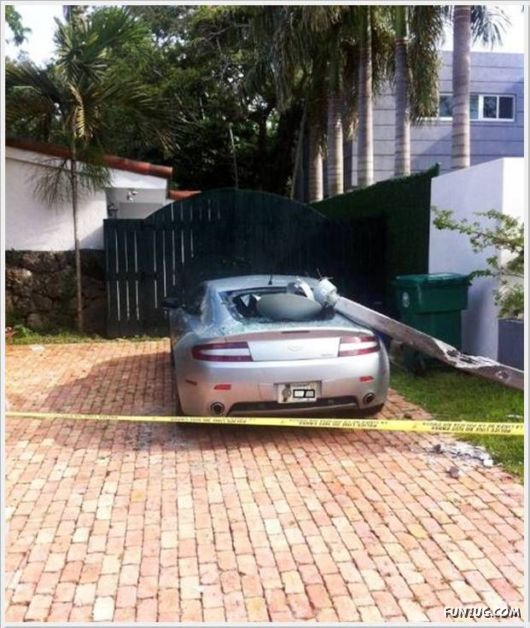 Cool Daily Funny Pix