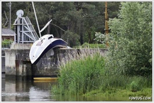 Cool Daily Funny Pix