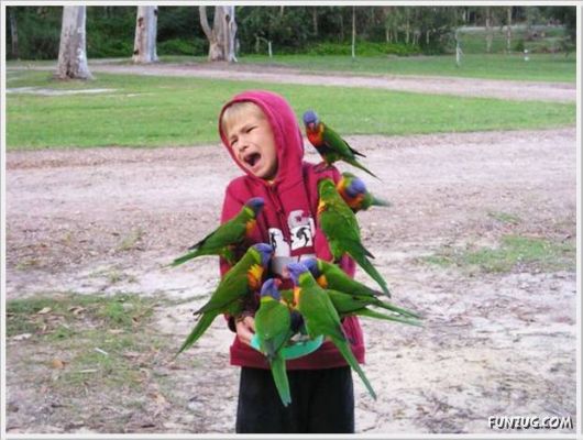 Cool Daily Funny Pix