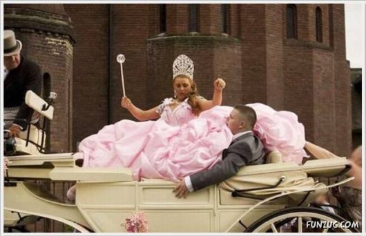 Cool Daily Funny Pix