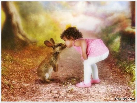 Cool Daily Funny Pix