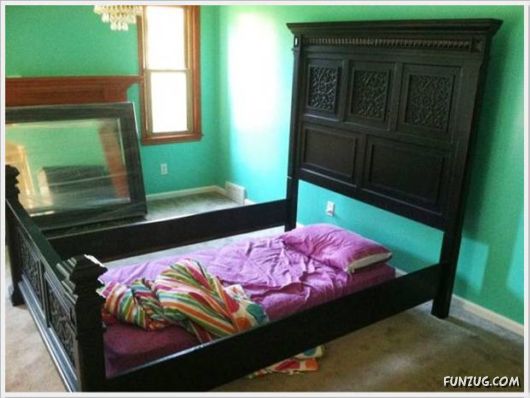 Cool Daily Funny Pix