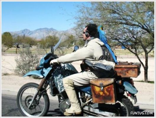 Cool Daily Funny Pix