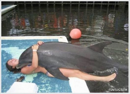 Cool Daily Funny Pix