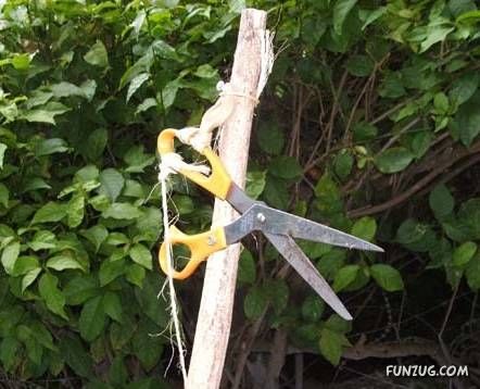 Every Problem Has A Solution